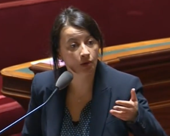 Cécile Duflot présente le projet de loi Alur au Sénat le 30/01/2014