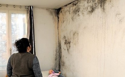 Logement insalubre avec humidité - Crédit : midilibre.fr